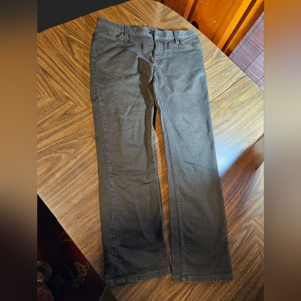 Banana Republic Traveler Gray Pants